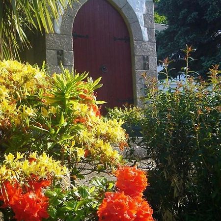 Undercliff Guest House Trinity Екстер'єр фото